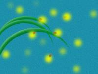 firefly.tif