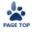 PAGE TOP