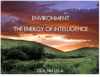 ENVIRONMENT - THE ENERGY OF INTELLIGENCE GILA, NM, U.S.A.
