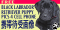 Free Cell Phone Waiting Screen Graphic