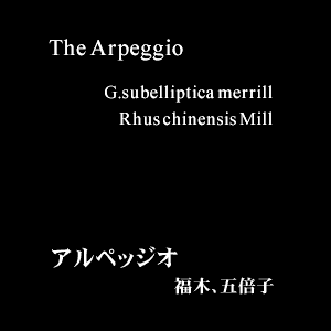 The Arpeggio