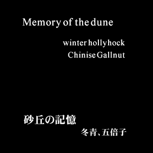 Memory of the dune / Sakyu no kioku