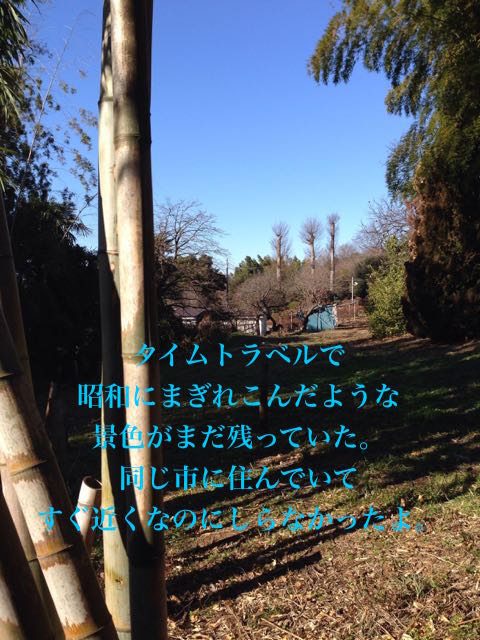 20150108-武蔵野彷彿.jpg
