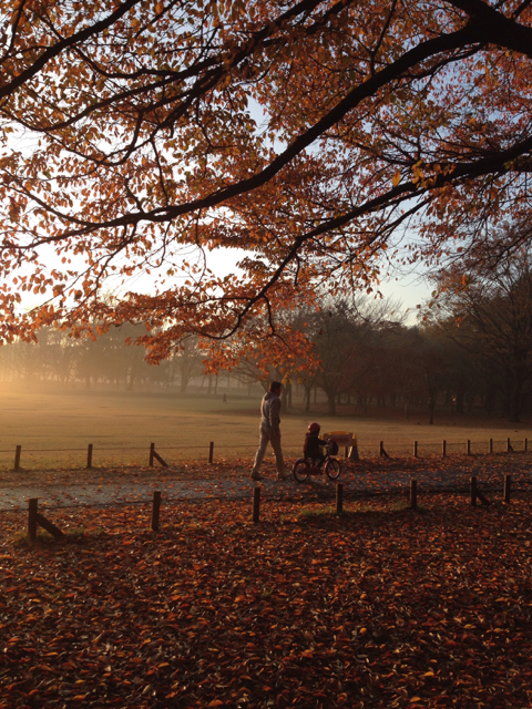 20141129-小金井公園夕暮れ親子.jpg