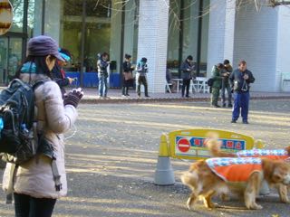 20141213-戦闘開始.jpg 20141213-戦闘開始.jpg