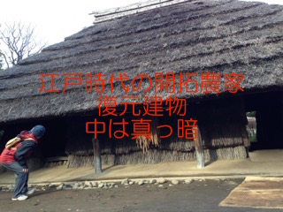 20150115-江戸農家.jpg